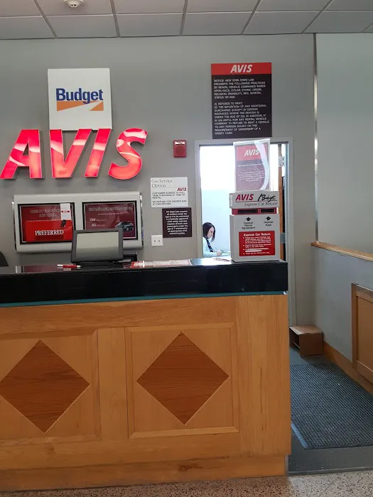 Avis Car Rental Picture 5