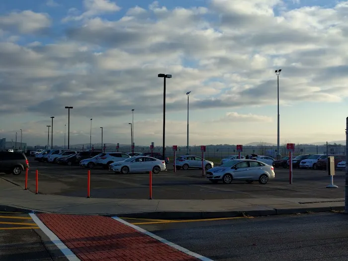 Avis Car Rental Picture 7
