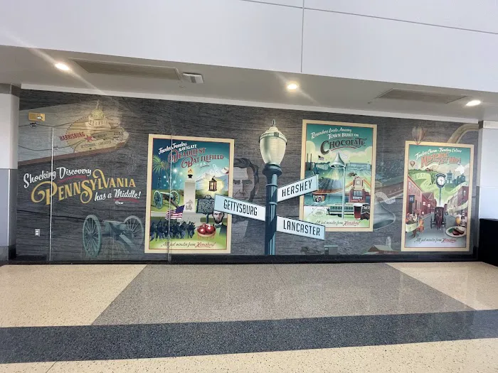 Avis Car Rental Picture 6