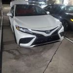 Avis Car Rental