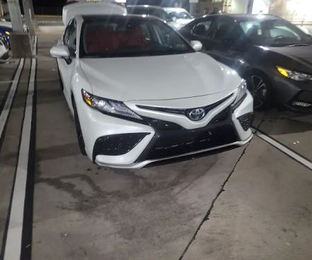 Avis Car Rental