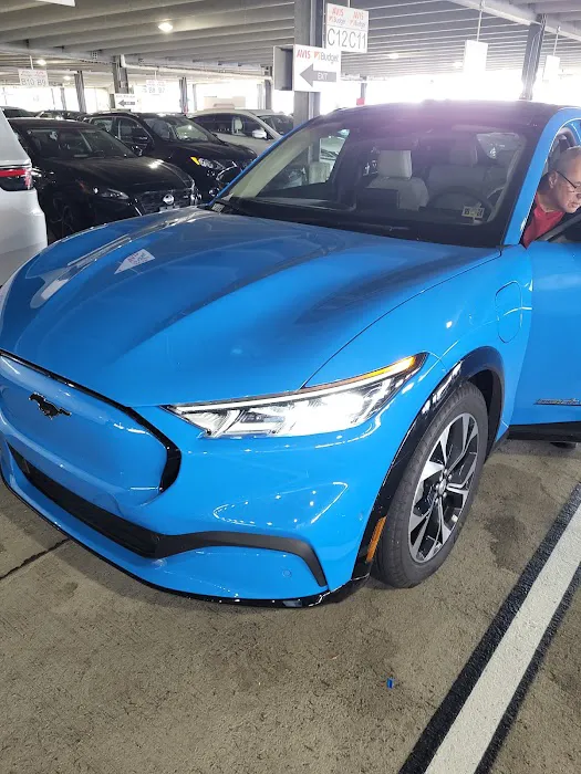 Budget Car Rental Picture 3