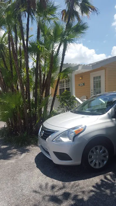 Alamo Rent A Car Picture 5
