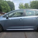 LynFrank car rentals