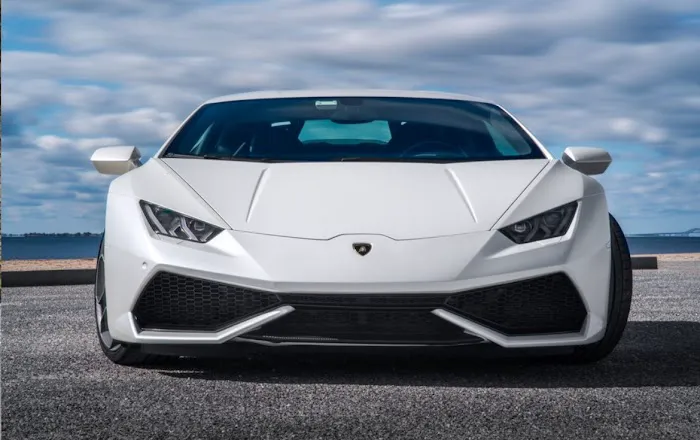 Velocity Exotics Picture 1
