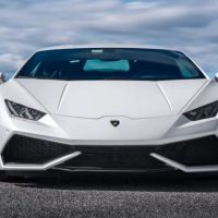 Velocity Exotics ico
