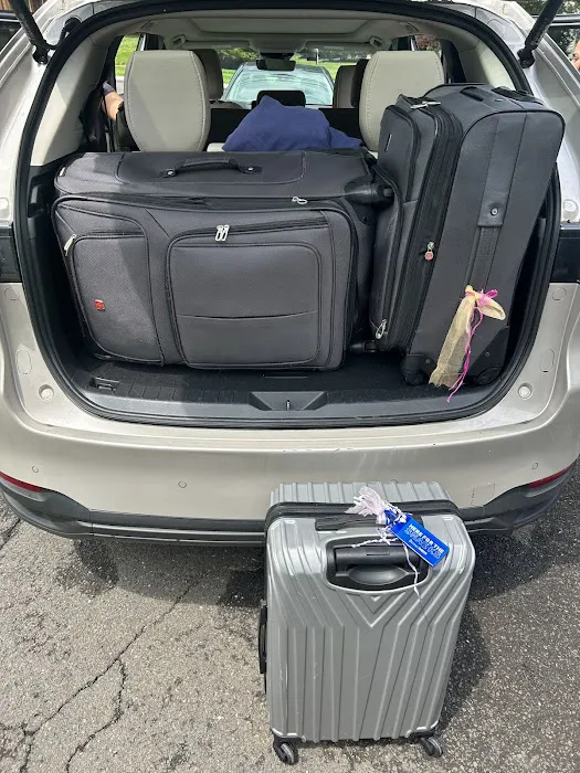 Avis Car Rental Picture 3