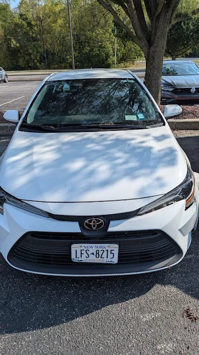 Avis Car Rental Picture 8