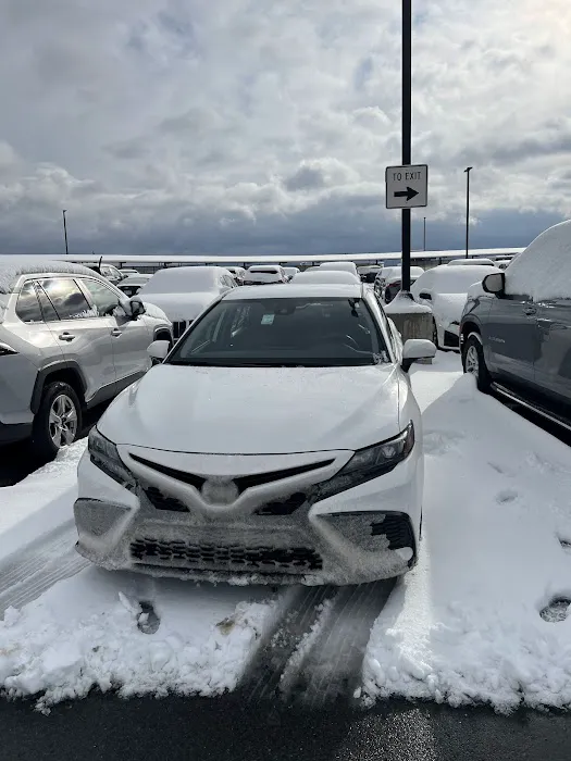 Avis Car Rental Picture 1