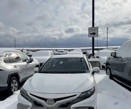 Avis Car Rental