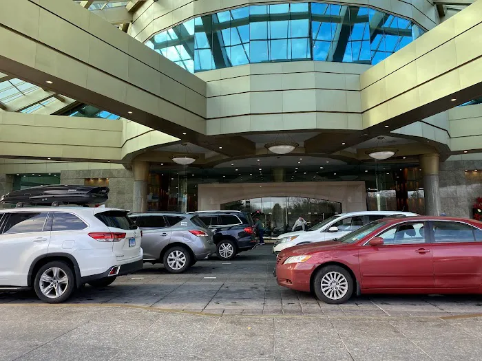 Alamo Rent A Car Picture 1