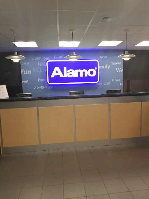 Alamo Rent A Car Picture 5