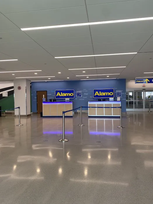 Alamo Rent A Car Picture 7
