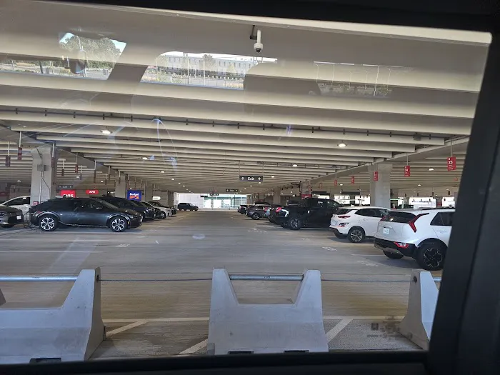 Avis Car Rental Picture 10