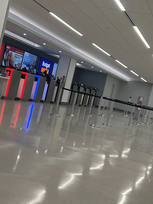 Payless Car Rental Picture 4