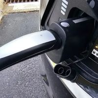 Payless Car Rental ico