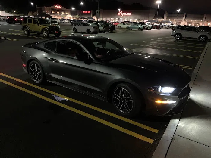 Avis Car Rental Picture 1