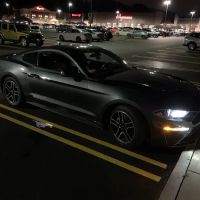 Avis Car Rental ico