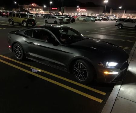 Avis Car Rental
