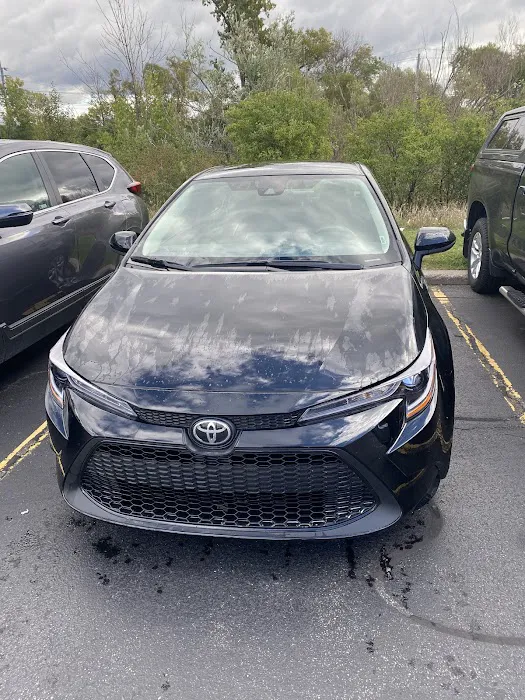 Avis Car Rental Picture 6