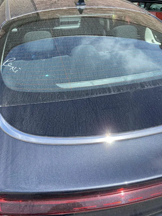 Avis Car Rental Picture 2