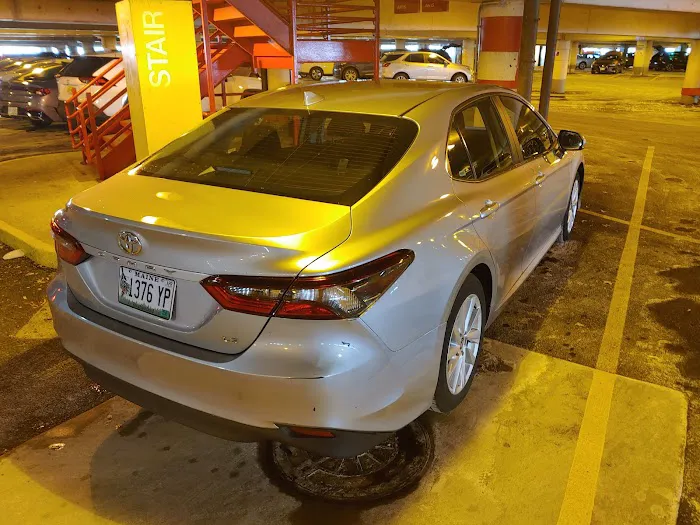 Budget Car Rental Picture 2