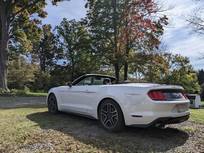 Budget Car Rental Picture 10