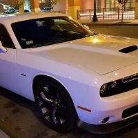 Avis Car Rental ico