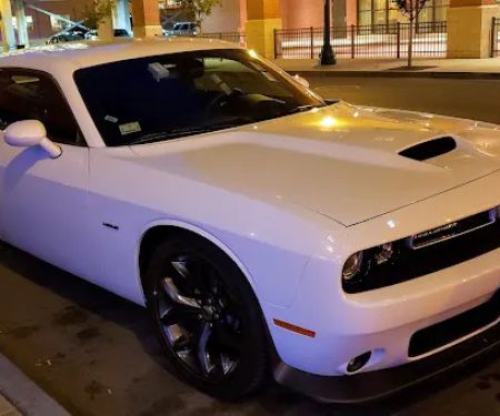 Avis Car Rental