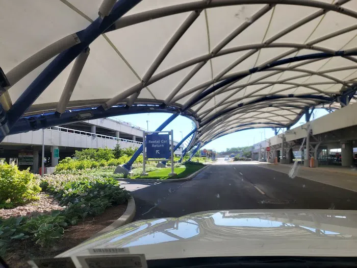 Avis Car Rental Picture 5