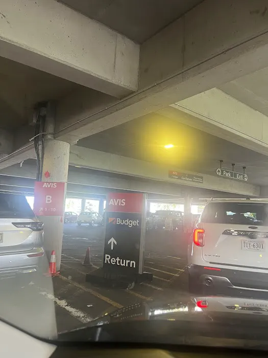 Avis Car Rental Picture 1