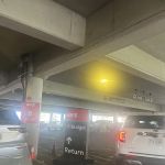 Avis Car Rental