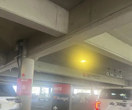 Avis Car Rental