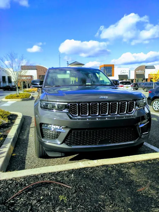Avis Car Rental Picture 2