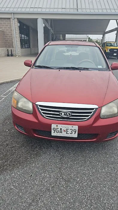Avis Car Rental Picture 7
