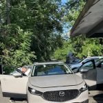 Avis Car Rental