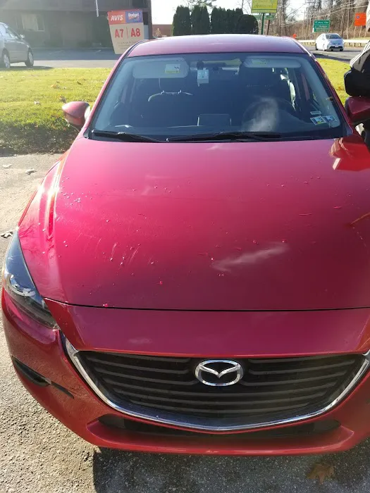 Avis Car Rental Picture 4