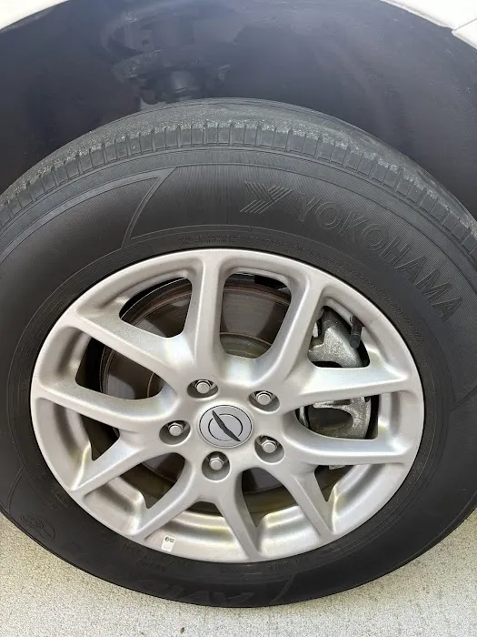 Budget Car Rental Picture 3