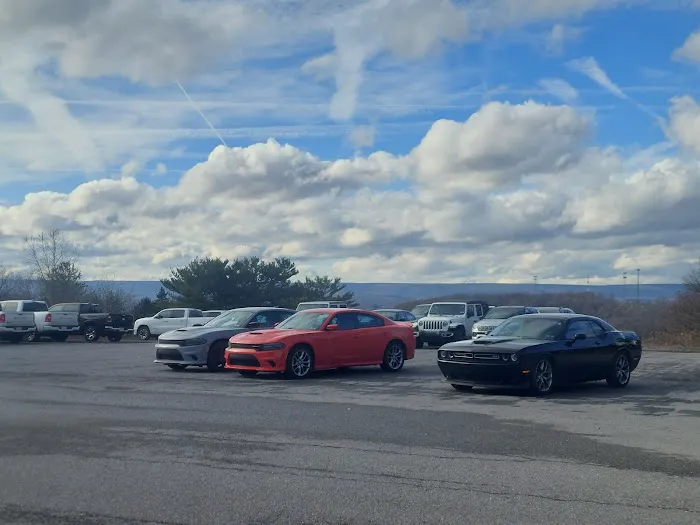 Payless Car Rental Picture 1