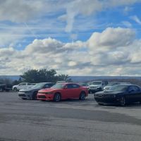 Payless Car Rental ico