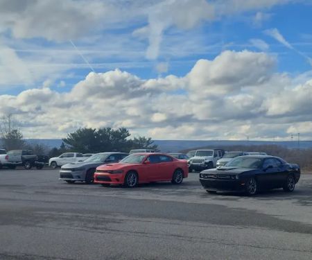 Payless Car Rental