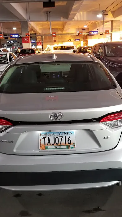 Payless Car Rental Picture 5