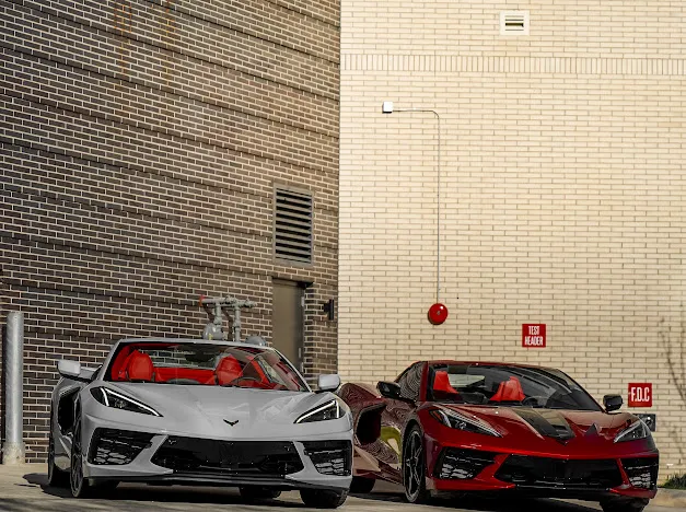 NSP Exotics Picture 5