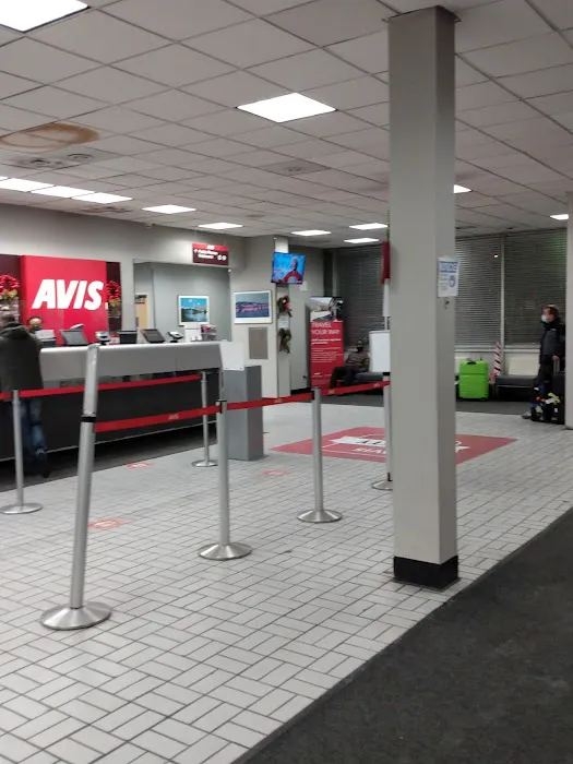 Avis Car Rental Picture 1