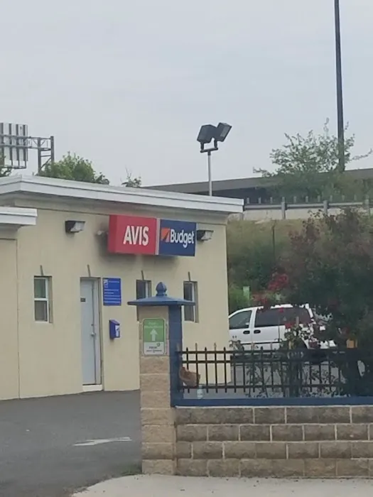 Avis Car Rental Picture 1