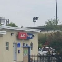 Avis Car Rental ico