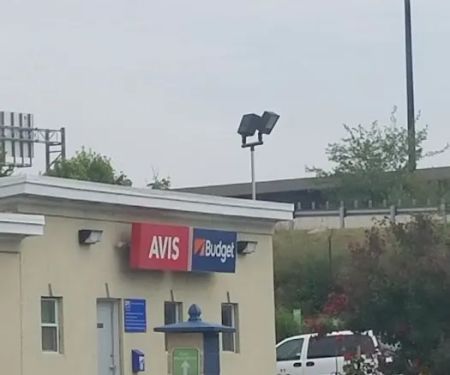 Avis Car Rental
