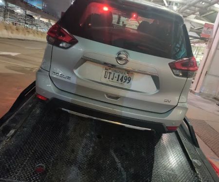 Avis Car Rental