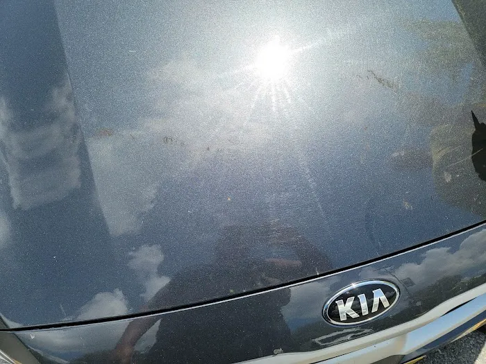 Avis Car Rental Picture 4