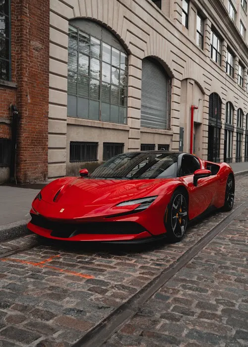 STREET EXOTICS Picture 2